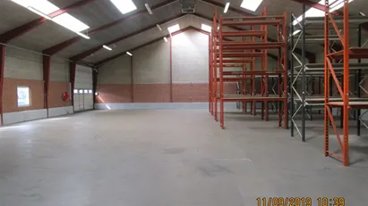 600 m2 centralt beliggende højloftet lagerhal med kontor, køkken og toilet.
