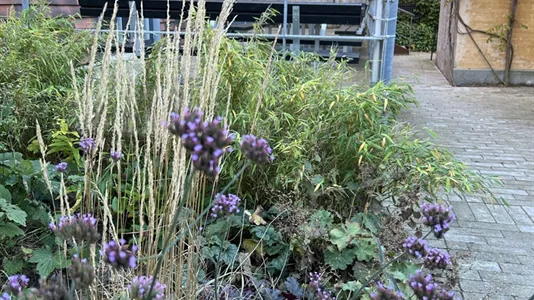 Kontorlokaler til leje i Næstved - billede 10