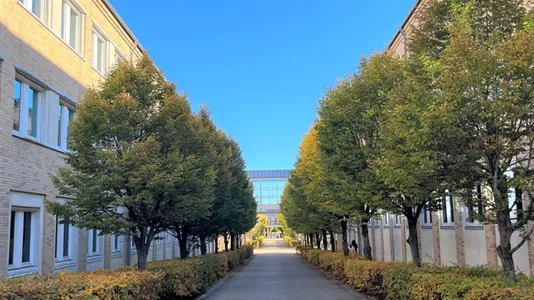 Kontorlokaler til leje i Taastrup - billede 4