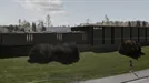 Kontor til leje, Hørsholm, Hammervej 1